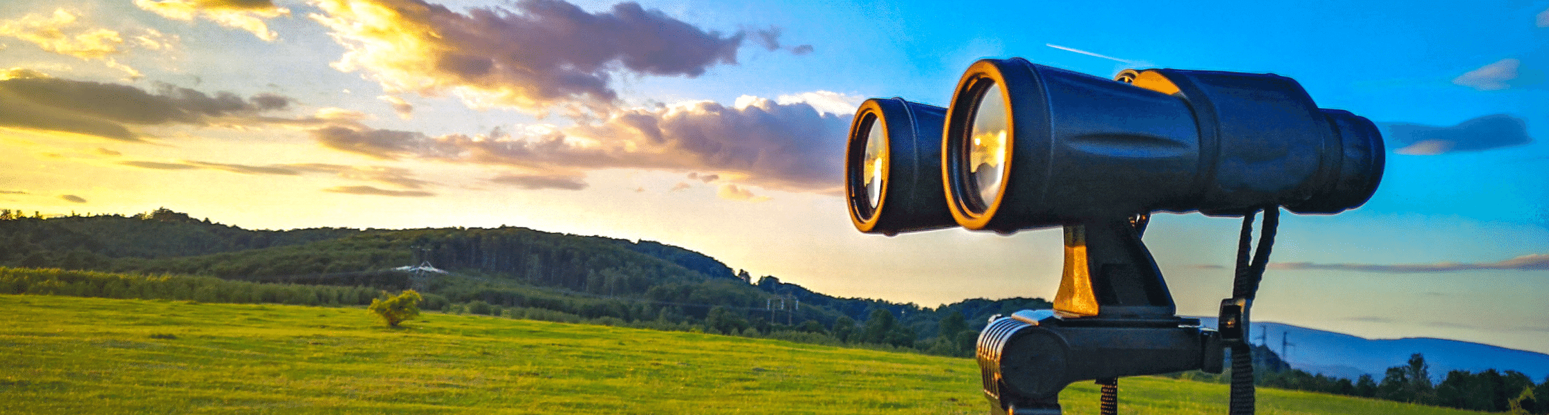 3-Ways-to-Make-Your-Supply-Chain-Thrive-in-2022