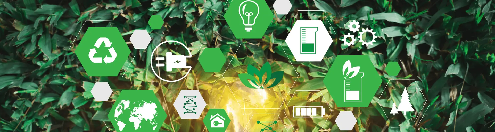 Sustainability-and-Corporate-Social-Responsibility-in-the-Supply-Chain Sustainability-and-Corporate-Social-Responsibility-in-the-Supply-Chain