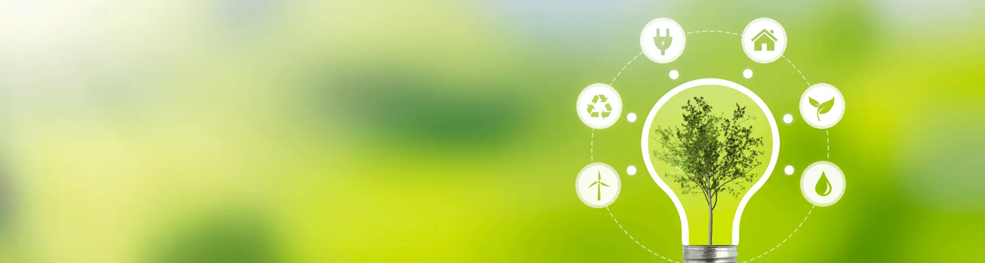 socially-responsible-companies socially-responsible-companies